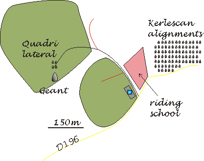 Sketch of how to find the Geant in the forest