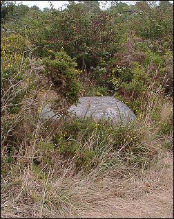 fallen menhir at Keriaval