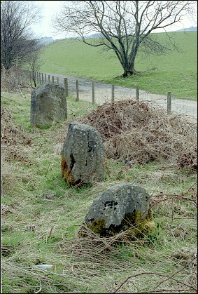 Standing Stones of Moffat Standing Stone, Dumfries & Galloway