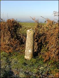 Cross & Hand Stone Stone, Dorset
