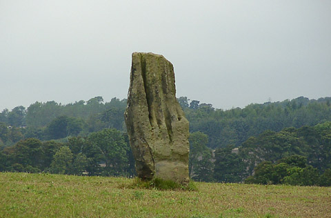 Pinnelhill Wood Standing Stone, Fife