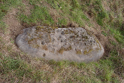 Lundin Farm  Stone Circle, Perth and Kinross