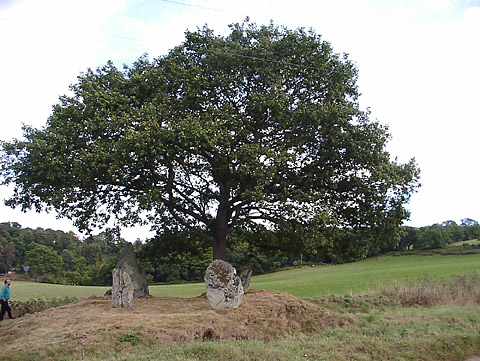 Lundin Farm  Stone Circle, Perth and Kinross