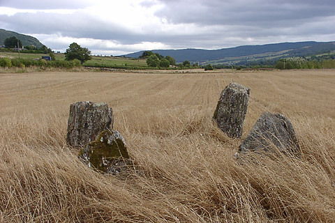 Carse Farm I  Stone Circle, Perth and Kinross