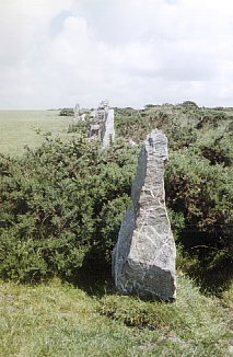 Nine Maidens  Alignment, Cornwall