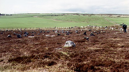 Hill O' Many Stanes Alignment, Caithness