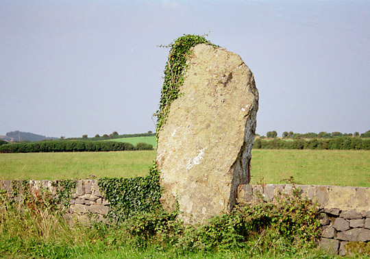Maenaddwyn Stone Standing Stone, Anglesey