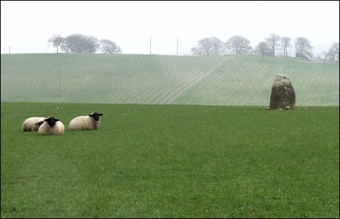 Gaval Standing Stone, Aberdeenshire