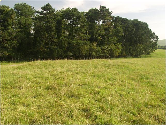 Knap Hill Barrow, Wiltshire