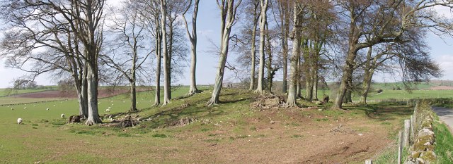 New Fowlis Cairn, Perthshire