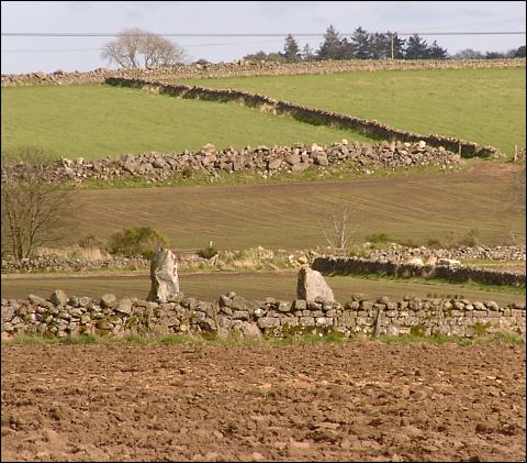 Carnie Standing Stone, Aberdeenshire