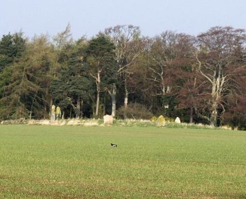 Castle Fraser Stone Circle, Aberdeenshire