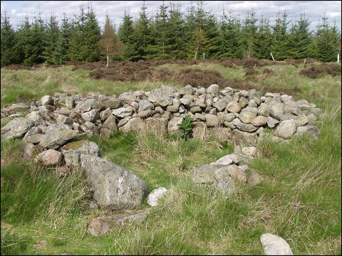 Clune Hill Stone Circle, Aberdeenshire