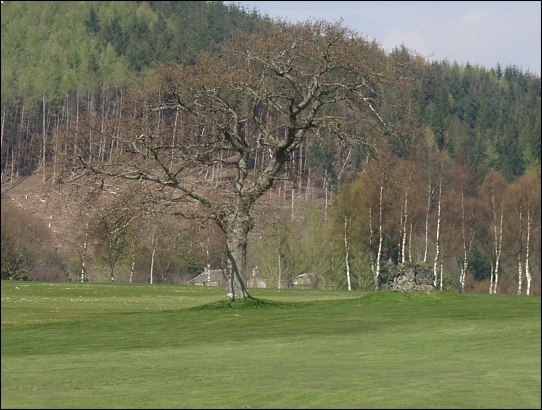 Crieff Golf Club Standing Stone, Perthshire