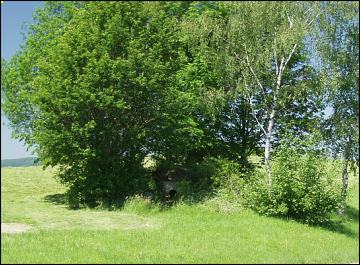 Dolmen of Degernau Dolmen, Baden-Württemberg