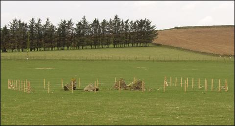 Backhill of Drach Law Stone Circle, Aberdeenshire