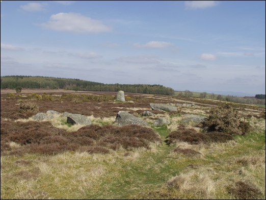 Fowlis Wester Stone Circle, Perthshire