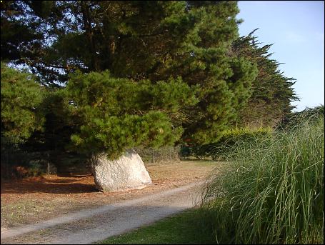 Kervert Standing Stone, Brittany