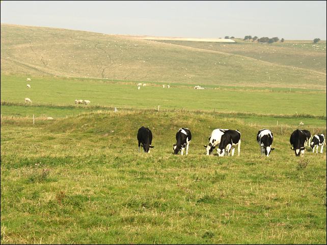 Knap Hill Barrow, Wiltshire