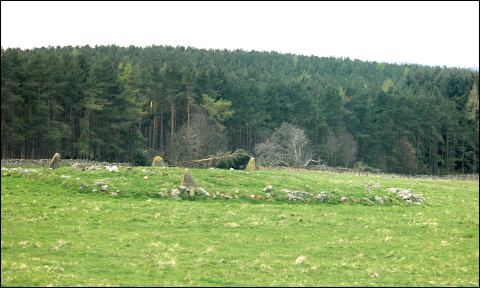 Knock Wood Stone Circle, Aberdeenshire