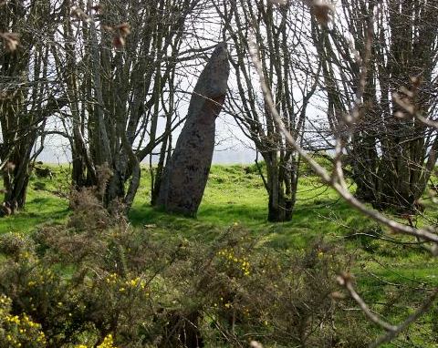 Midmar Kirk Standing Stone, Aberdeenshire