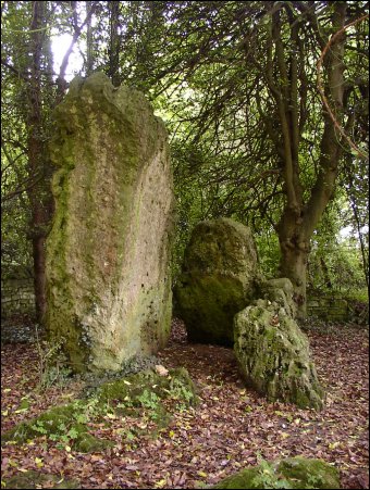 Hoarstones Dolmen
