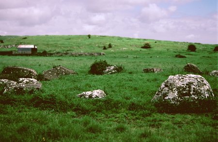 Grange N Stone Circle, Limerick