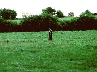 Hospital Standing Stone, Limerick