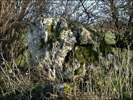 Bellingstone Stone, Dorset