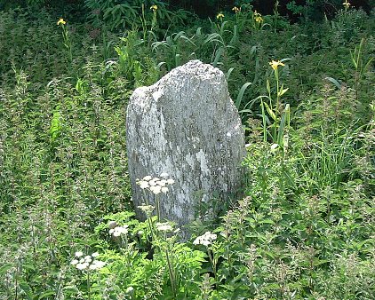 Feaghmaan Standing Stone, Kerry