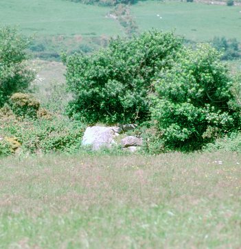 Coolroe Lower Standing Stone, Kerry