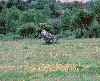 Togher Standing Stone, Cork