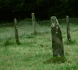 Balymakeery Standing Stone, Cork