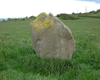 Kylefinchin Standing Stone, Cork