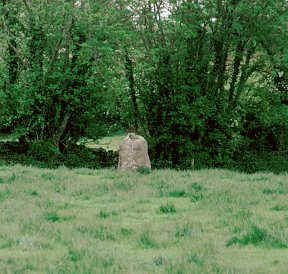 Kylefinchin Standing Stone, Cork