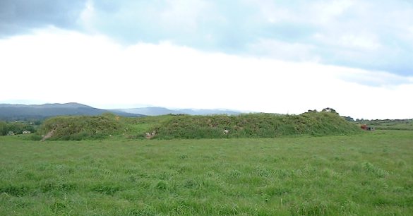 Kylefinchin Henge, Cork