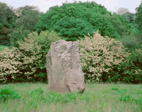 Inchinlinane Standing Stone, Cork