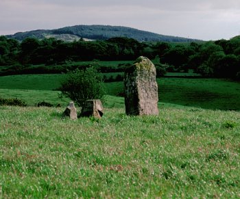 Glantane Passage Grave, Cork