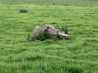 Shanakill Standing Stone, Cork