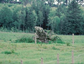 Rusheen Standing Stone, Cork