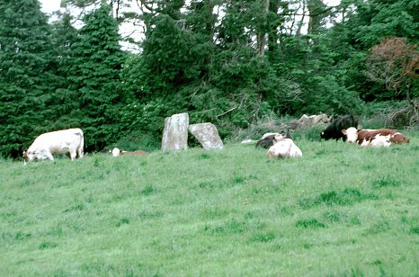 Bealnamorive Alignment, Cork