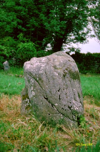 Coolineagh Standing Stone, Cork