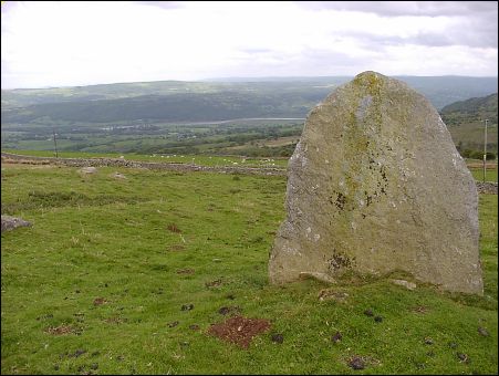 Cae Coch Standing Stone, gwynned