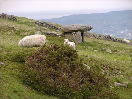 Cae Coch Dolmen, Gwynedd