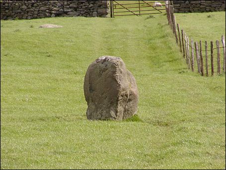 Moel Goedog Standing Stone, Gwynedd