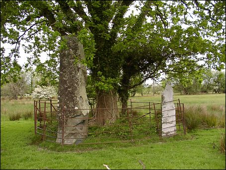 Llanbedr Standing Stone, Gwynedd