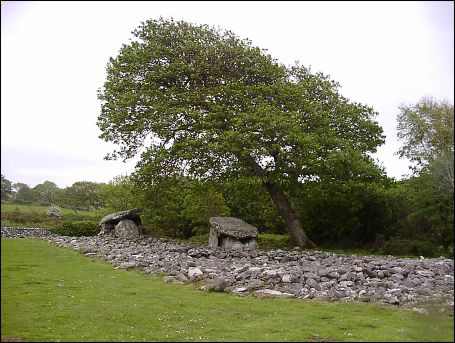 Dyffryn Ardudwy Dolmen, Gwynedd