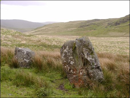 Buwch a'r Llo Standing Stone, Ceredigion