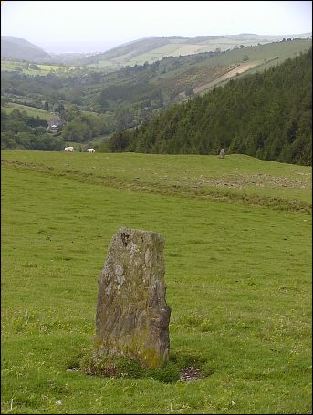 Cerrig yr Wyn Alignment, Ceredigion