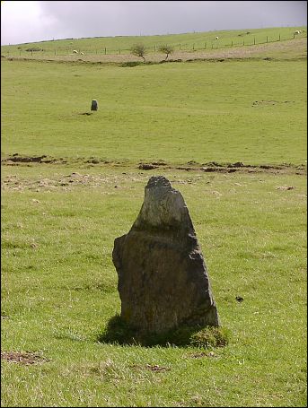 Cerrig yr Wyn Alignment, Ceredigion